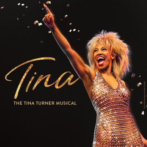 Tina Turner performer point to the sky