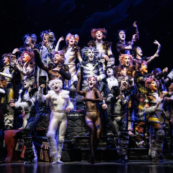 Cats the Musical • North American Tour • Official Website & Tickets