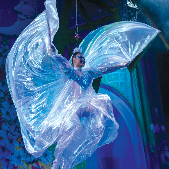 Cirque Dreams Holidaze Performer