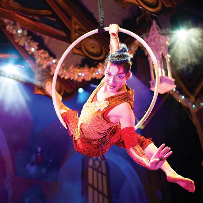Cirque Dreams Holidaze Performer